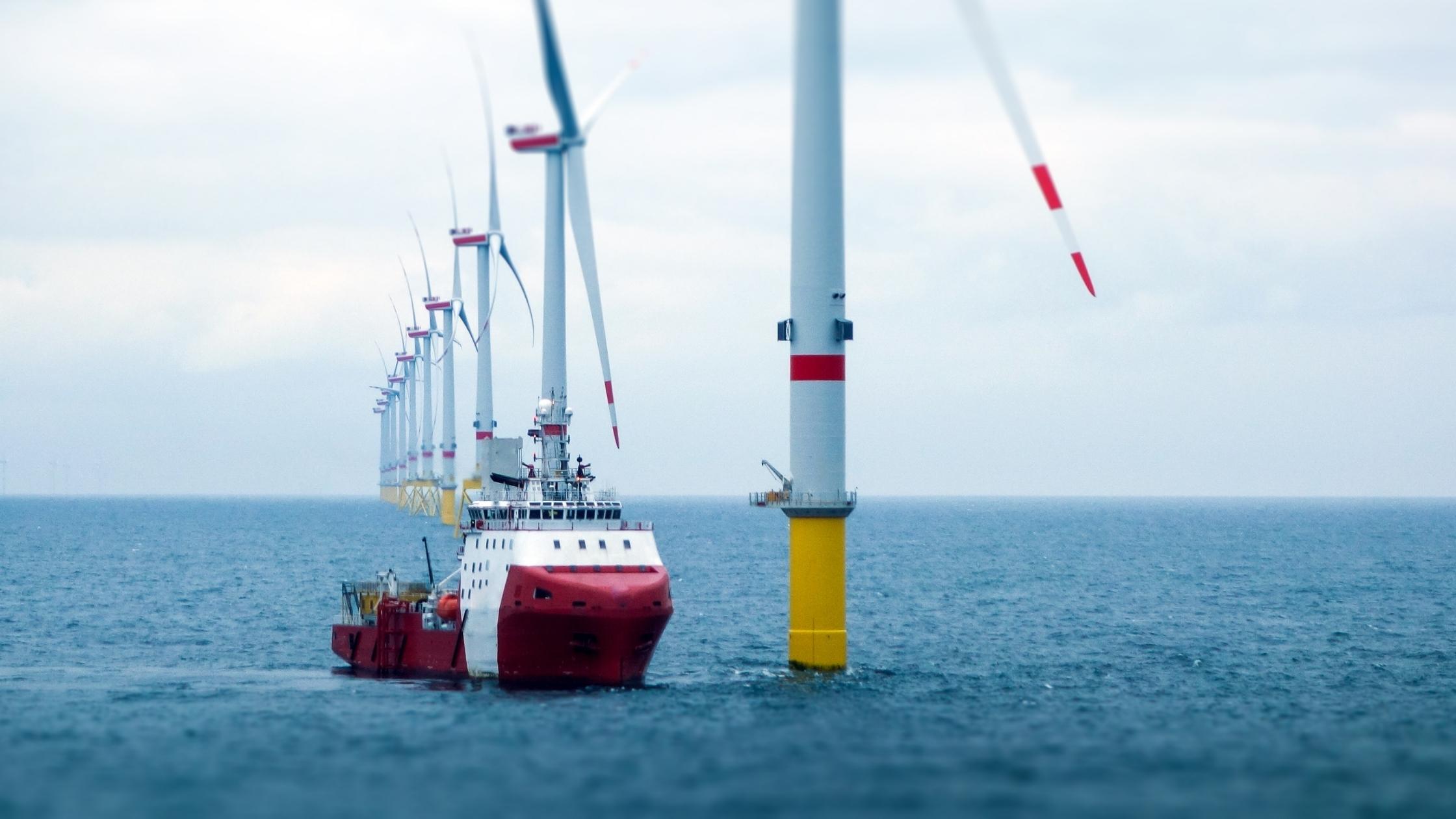 The Doom for Offshore Wind Talents in Taiwan is on the Horizon - Noniko Hsu